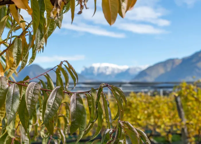 Quellenhof Apartamento